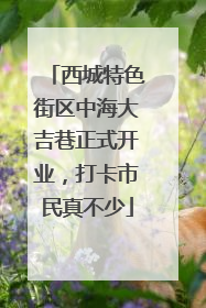 西城特色街区中海大吉巷正式开业，打卡市民真不少