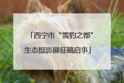 西宁市“雪豹之都”生态摄影展征稿启事