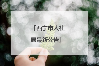 西宁市人社局最新公告