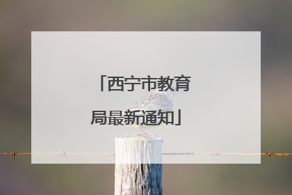 西宁市教育局最新通知