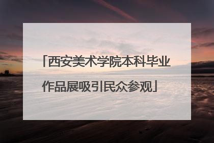 西安美术学院本科毕业作品展吸引民众参观