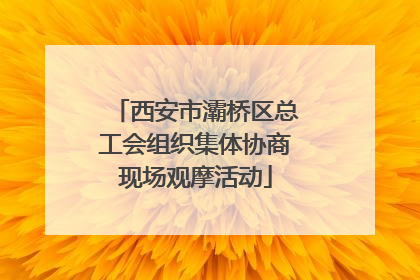 西安市灞桥区总工会组织集体协商现场观摩活动