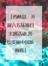 西峡县：开展六五环境日主题活动 共绘美丽中国新画卷