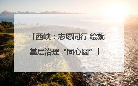 西峡：志愿同行 绘就基层治理“同心圆”