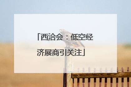 西洽会：低空经济展商引关注