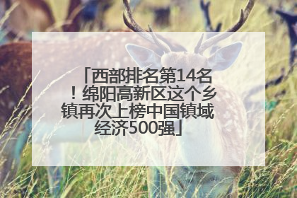 西部排名第14名！绵阳高新区这个乡镇再次上榜中国镇域经济500强