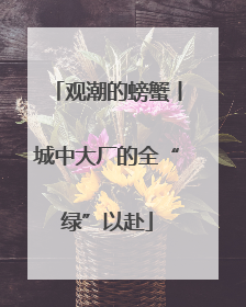 观潮的螃蟹丨城中大厂的全“绿”以赴