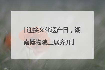 迎接文化遗产日，湖南博物院三展齐开