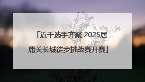 近千选手齐聚 2025居庸关长城徒步挑战赛开赛