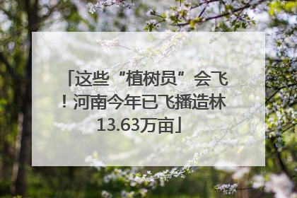 这些“植树员”会飞！河南今年已飞播造林13.63万亩