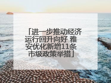 进一步推动经济运行回升向好 雅安优化新增11条市级政策举措