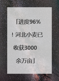 进度96%！河北小麦已收获3000余万亩