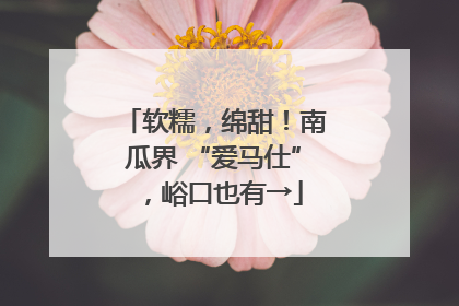 软糯，绵甜！南瓜界 “爱马仕”，峪口也有→