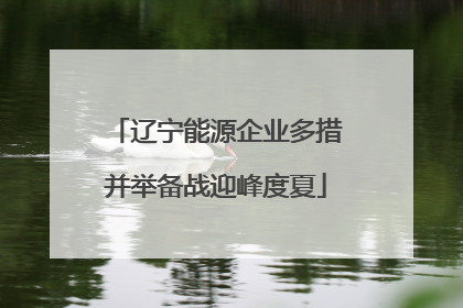 辽宁能源企业多措并举备战迎峰度夏