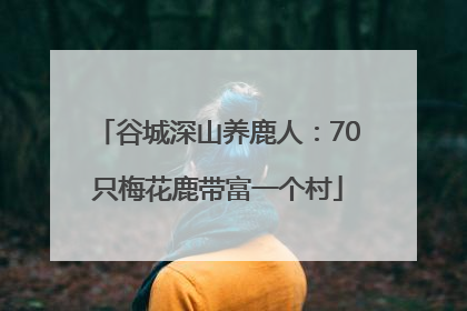 谷城深山养鹿人：70只梅花鹿带富一个村