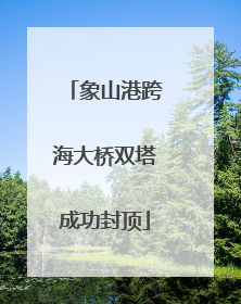 象山港跨海大桥双塔成功封顶