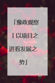 豫政观察丨以项目之进看发展之势