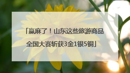 赢麻了！山东这些旅游商品全国大赛斩获3金1银5铜