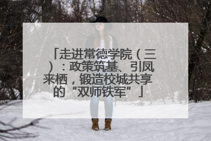 走进常德学院（三）：政策筑基、引凤来栖，锻造校城共享的“双师铁军”