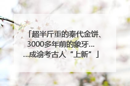 超半斤重的秦代金饼、3000多年前的象牙……成渝考古人“上新”
