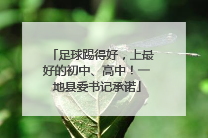 足球踢得好，上最好的初中、高中！一地县委书记承诺