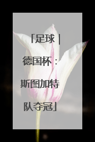 足球｜德国杯：斯图加特队夺冠