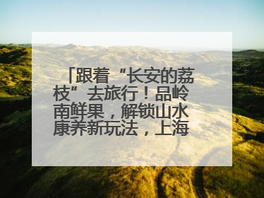 跟着“长安的荔枝”去旅行！品岭南鲜果，解锁山水康养新玩法，上海3小时直飞，自驾高速费优惠