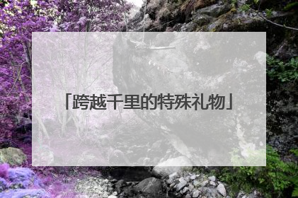 跨越千里的特殊礼物