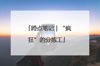蹲点笔记｜“疯狂”的分拣工