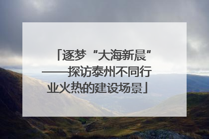 逐梦“大海新晨”——探访泰州不同行业火热的建设场景