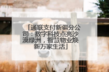 通联支付新疆分公司：数字科技点亮沙漠绿洲，智慧物业焕新万家生活
