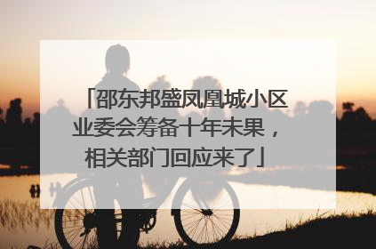 邵东邦盛凤凰城小区业委会筹备十年未果，相关部门回应来了