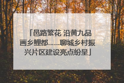 邑路繁花 沿黄九品 画乡鲤都……聊城乡村振兴片区建设亮点纷呈