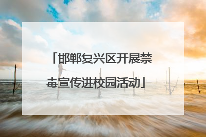 邯郸复兴区开展禁毒宣传进校园活动