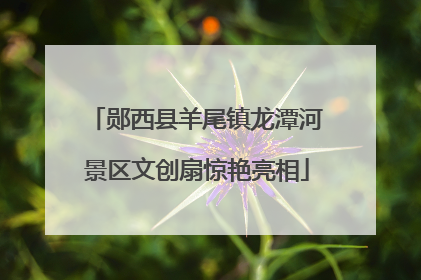 郧西县羊尾镇龙潭河景区文创扇惊艳亮相