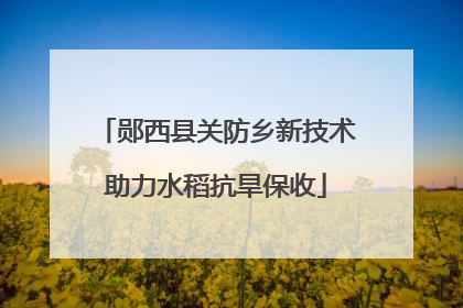 郧西县关防乡新技术助力水稻抗旱保收