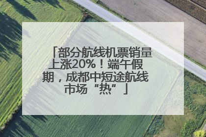部分航线机票销量上涨20%！端午假期，成都中短途航线市场“热”