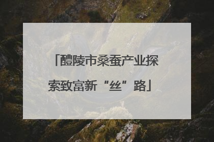 醴陵市桑蚕产业探索致富新“丝”路