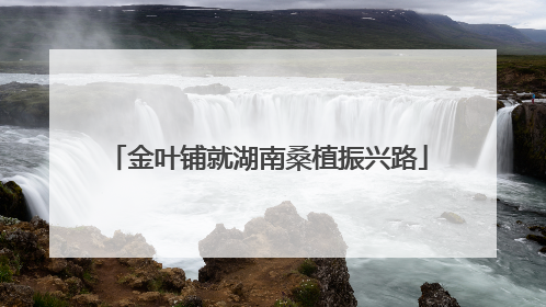 金叶铺就湖南桑植振兴路