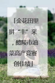 金花田里拼“丰”采，醴陵市油菜高产竞赛创佳绩