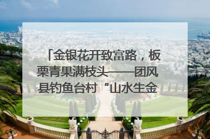 金银花开致富路，板栗青果满枝头——团风县钓鱼台村“山水生金”谱写共富新篇章