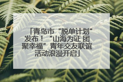青岛市“脱单计划”发布！“山海为证 团聚幸福”青年交友联谊活动浪漫开启