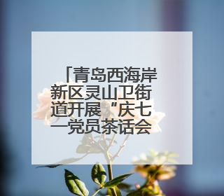 青岛西海岸新区灵山卫街道开展“庆七一党员茶话会”