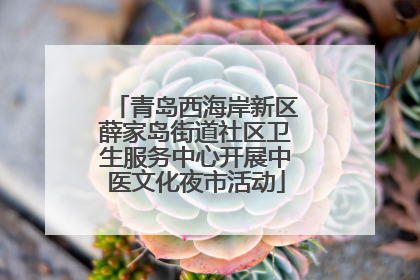 青岛西海岸新区薛家岛街道社区卫生服务中心开展中医文化夜市活动