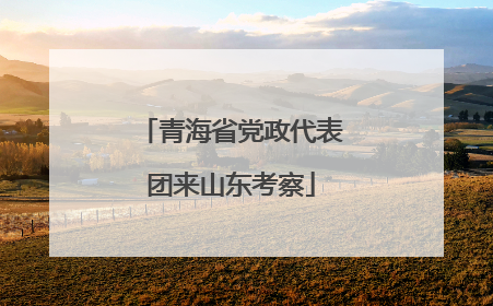 青海省党政代表团来山东考察