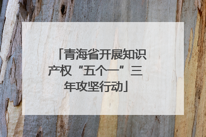 青海省开展知识产权“五个一”三年攻坚行动