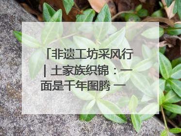 非遗工坊采风行｜土家族织锦：一面是千年图腾 一面是幸福画卷