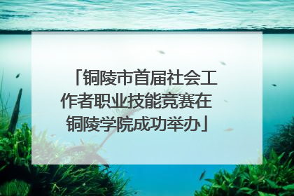 铜陵市首届社会工作者职业技能竞赛在铜陵学院成功举办