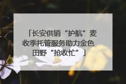 长安供销“护航”麦收季托管服务助力金色田野“抢收忙”