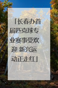 长春办首届匹克球专业赛事受欢迎 新兴运动正走红